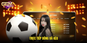 Trực tiếp bóng đá kèo